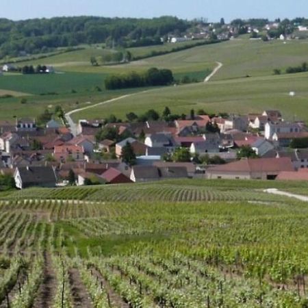 Ferienwohnung La Longere De Vin'Ay Vinay  Exterior foto