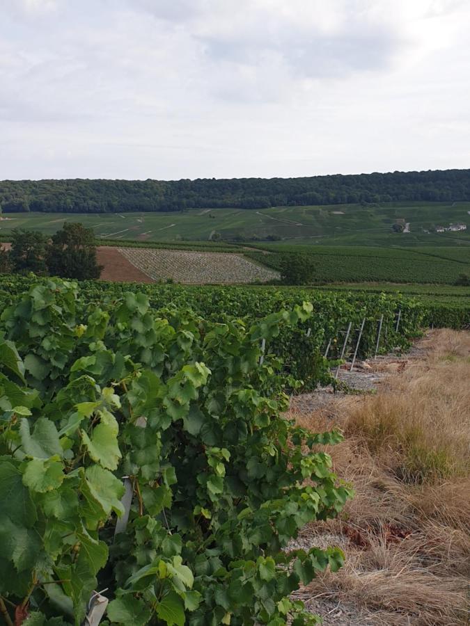 Ferienwohnung La Longere De Vin'Ay Vinay  Exterior foto